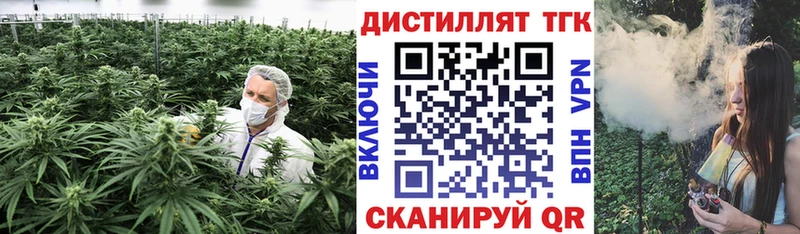 Купить где  Сольвычегодск  Дистиллят ТГК концентрат 