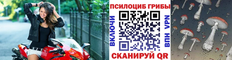 Галлюциногенные грибы прущие грибы  Купить закладки  Сольвычегодск 